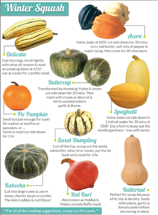 Illustration for article titled Let's squish out some squash recipes